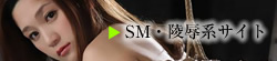 SM・陵辱系サイト